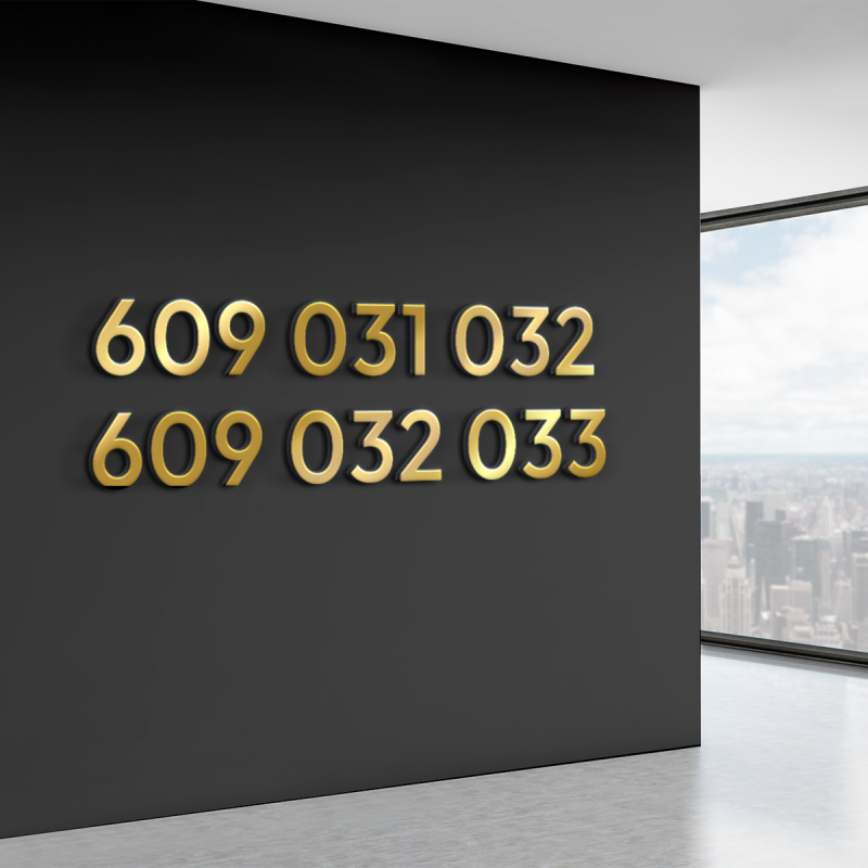 Zestaw złotych numerów telefonu – 609 031 032 + 609 032 033 | rosnące układy, Plus