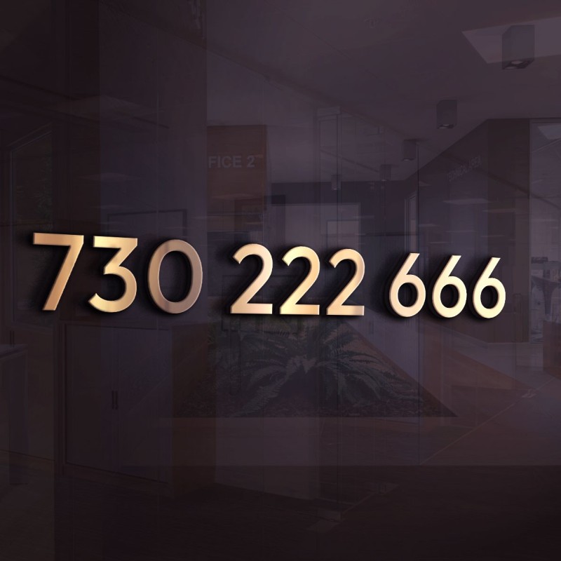 Złoty Numer PLAY 730 222 666 – Wyjątkowy Numer Premium z Potrójnymi Cyframi