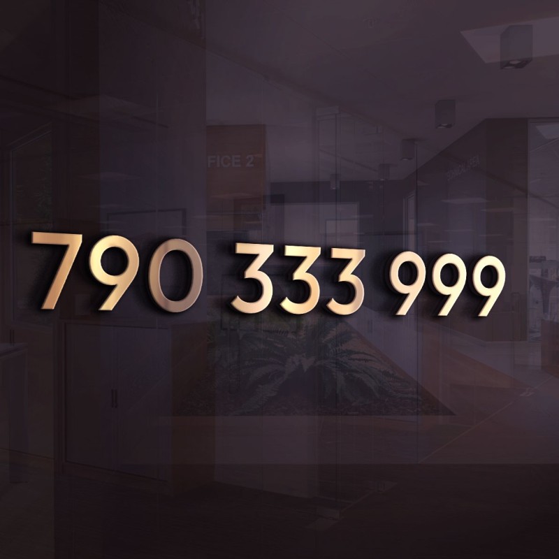 Złoty Numer PLAY 790 333 999 – Łatwy numer na infolinię lub dla firmy