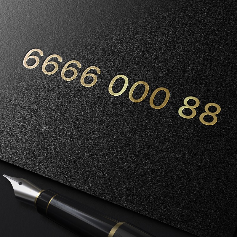 Złoty numer PLAY 666 600 088 | Nowy | Gotowy do rejestracji | Numer na kartę