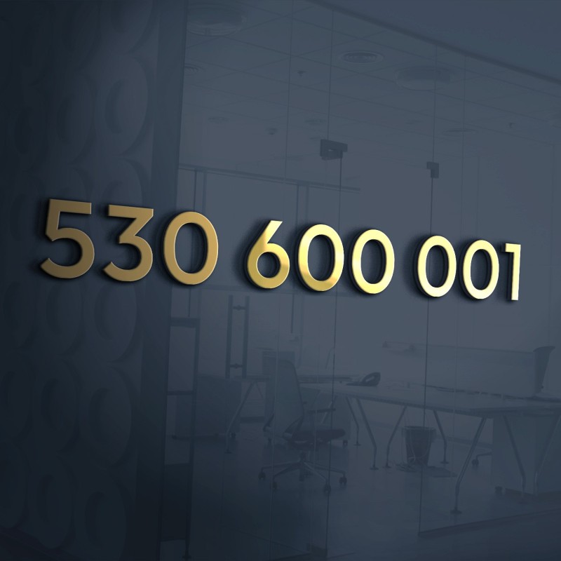530 600 001 – złoty numer | zlotenumery.pl