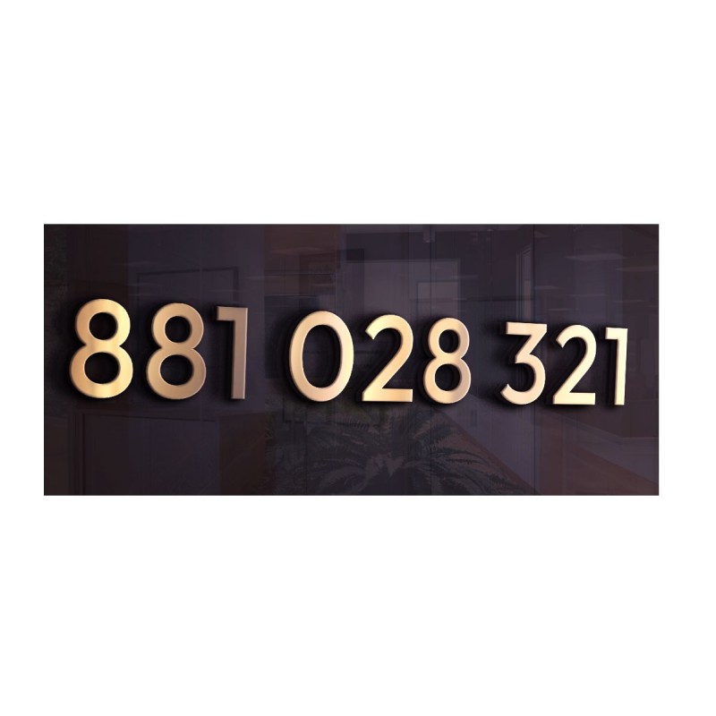 Fajny numer telefonu - prosty układ 881 028 321