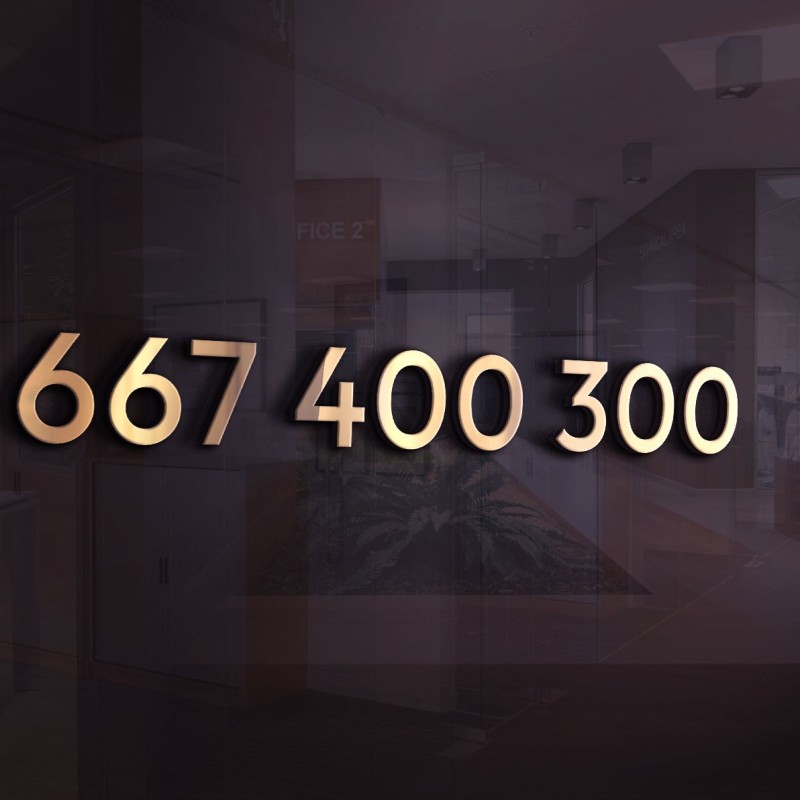 Złoty / Platynowy numer z pełnymi setkami 667 400 300