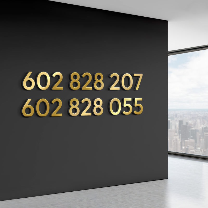 602 828 207 + 602 828 055 – zestaw 2 prostych numerów telefonu | T-Mobile